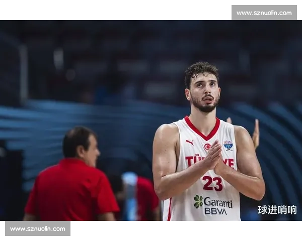 申京 24+16+6 逆转瑞典 攻防进化书写土耳其篮球复兴